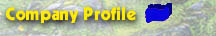 Company Profile
